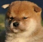 이지수님의 프로필 이미지