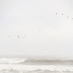 J님의 프로필 이미지