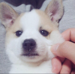 꽃의파도님의 프로필 이미지