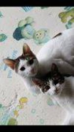 김재호님의 프로필 이미지