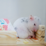 거북이kame님의 프로필 이미지