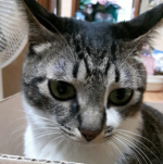 이수진님의 프로필 이미지