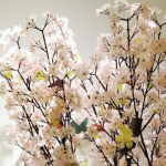 김하성님의 프로필 이미지