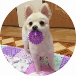 박경민님의 프로필 이미지