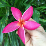 깊은뜻님의 프로필 이미지