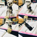 수현님의 프로필 이미지