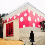 노한솔(SOL)님의 프로필 이미지