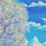 Shim DooBo님의 프로필 이미지