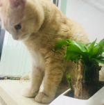 요짜누님의 프로필 이미지