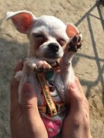 이지원님의 프로필 이미지