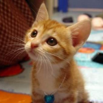 이섬님의 프로필 이미지