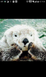 뀨꾹뀨님의 프로필 이미지