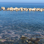 Su Yeon Kang님의 프로필 이미지