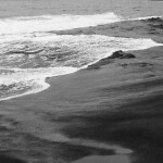 해수님의 프로필 이미지