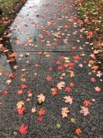 류밍밍님의 프로필 이미지