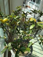 Michelle100님의 프로필 이미지