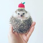 린님의 프로필 이미지