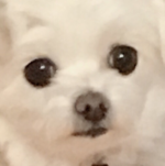 라콩🌿님의 프로필 이미지