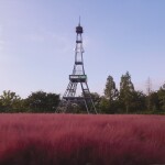 테헤란로 김대리님의 프로필 이미지