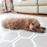 이채원님의 프로필 이미지