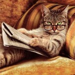 낮잠고양이님의 프로필 이미지