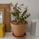 리나님의 프로필 이미지