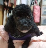 백광주님의 프로필 이미지