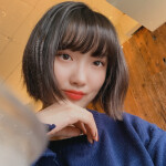 진돌님의 프로필 이미지