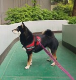 현재 여기님의 프로필 이미지