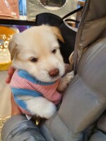 희연님의 프로필 이미지