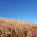 쵸코버터링님의 프로필 이미지