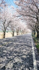 자이민님의 프로필 이미지