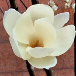 mika님의 프로필 이미지