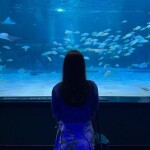 예지님의 프로필 이미지