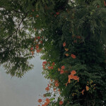 ddsz님의 프로필 이미지