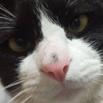 다먹어버릴거야님의 프로필 이미지