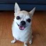 👑님의 프로필 이미지