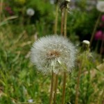 어창현님의 프로필 이미지