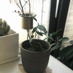 읽자애님의 프로필 이미지