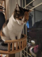 별별도마뱀님의 프로필 이미지