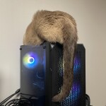 달빛님의 프로필 이미지