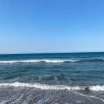 하루님의 프로필 이미지