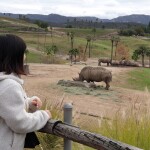 하쿠나마타탸님의 프로필 이미지