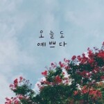 딩구님의 프로필 이미지