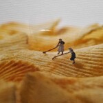 프로필 편집님의 프로필 이미지