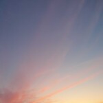 로빈님의 프로필 이미지