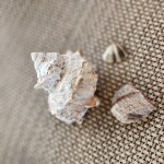 아영님의 프로필 이미지