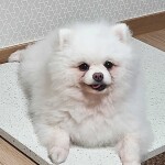 현정님의 프로필 이미지