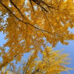 사랑하는 소년이님의 프로필 이미지