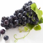 cindysora님의 프로필 이미지